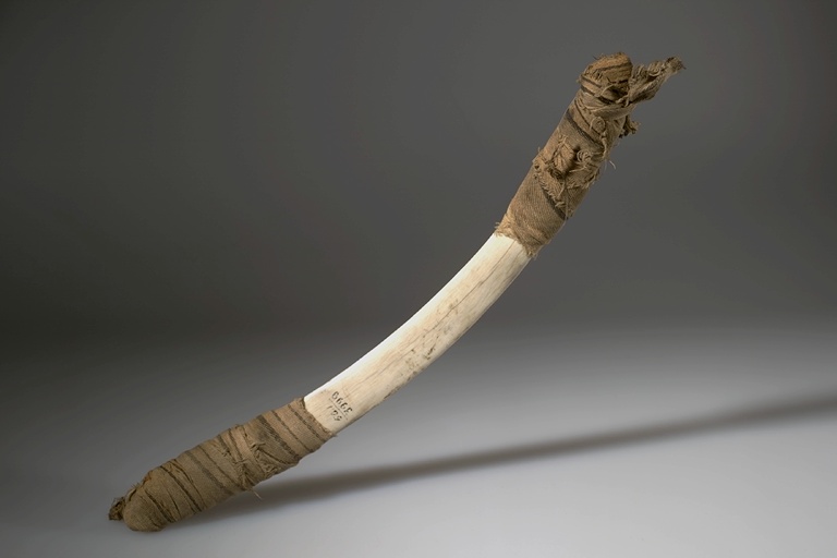 A fleshing knife made from buffalo rib. AMNH.