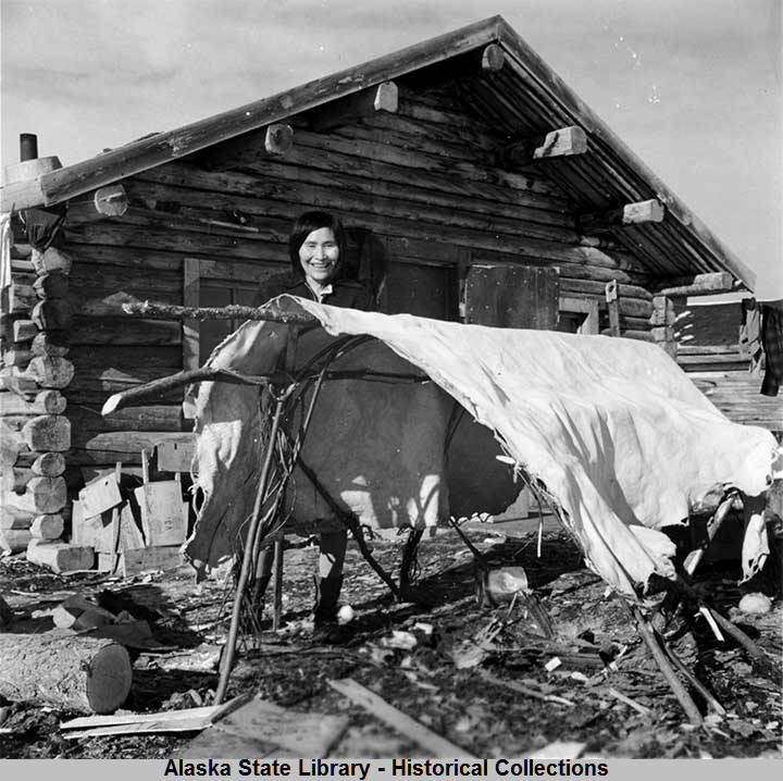 A Native woman smokes a moose hide on a structure made of branches.
